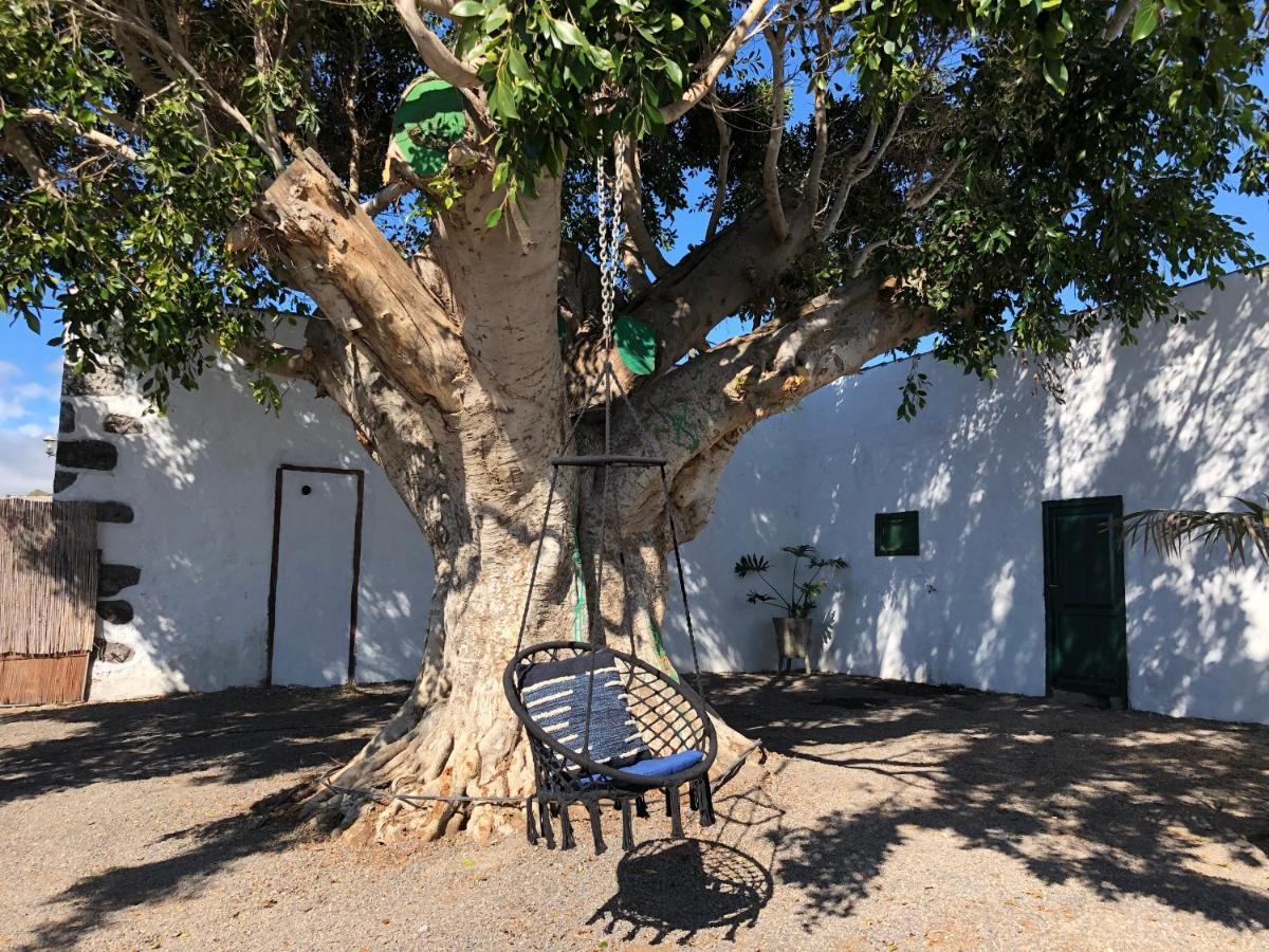 Finca Los Llanitos Guía de Isora Esterno foto